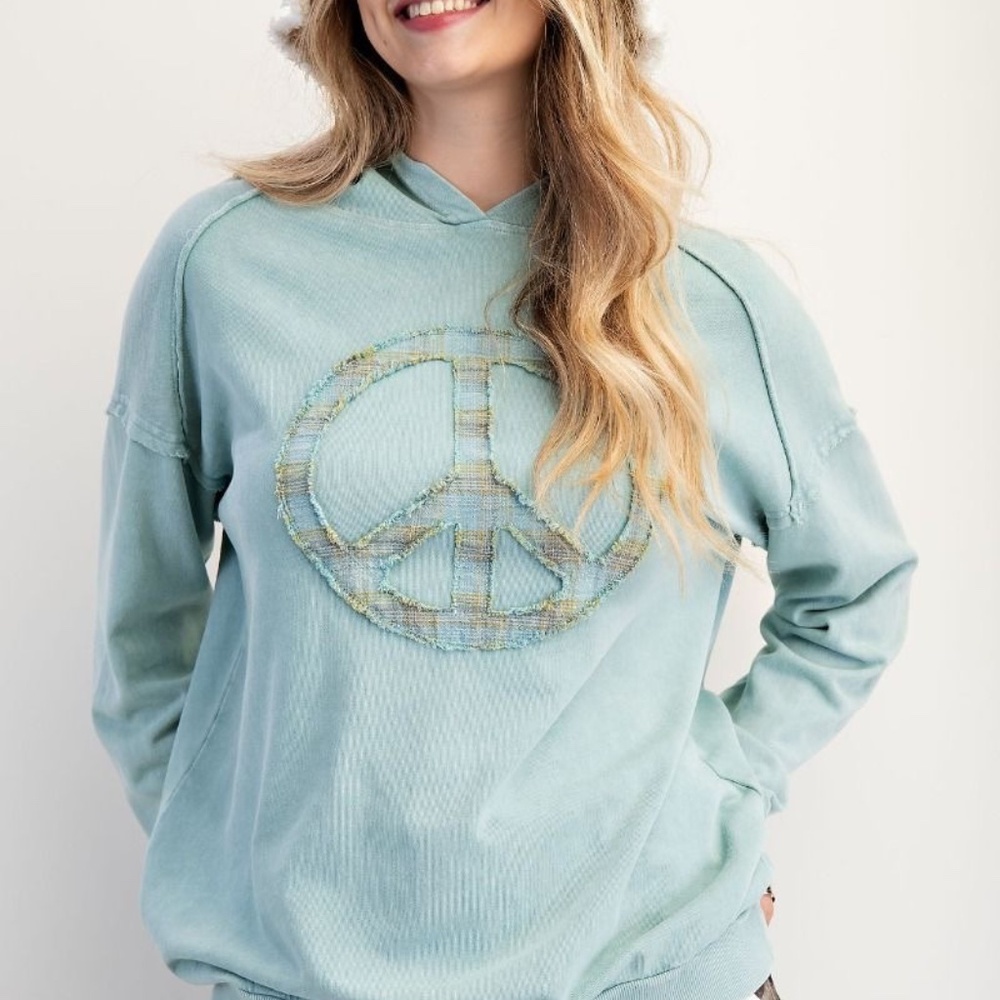 NEW EASEL CLOTHING WASHED TERRY KNIT PULLOVER PEACE HOODIE SEAFOAM SWEATSHIRT - Picture 8 of 10